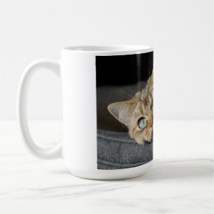 Mug Chat, Kitten, short britannique