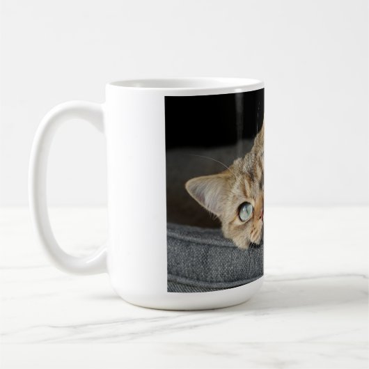 Mug Chat, Kitten, short britannique (Gauche)