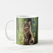Mug chat Maine Coon (Gauche)