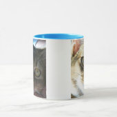 Mug Chat mâle bleu abyssin (Centre)