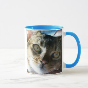 Mug Chat mâle bleu abyssin