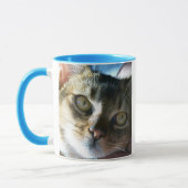 Mug Chat mâle bleu abyssin (Gauche)