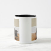 Mug Chat mangeant de la cuvette (Centre)