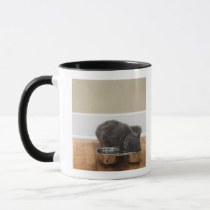 Mug Chat mangeant de la cuvette