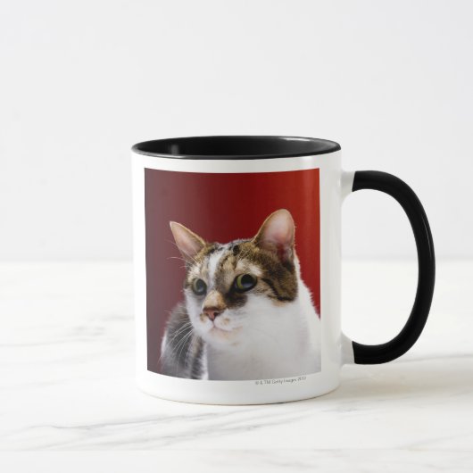 Mug Chat mannois (Droite)