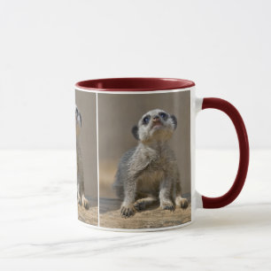 Mug Chat Mignon