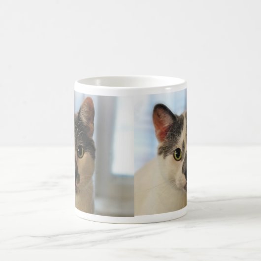 Mug Chat mignon (Centre)