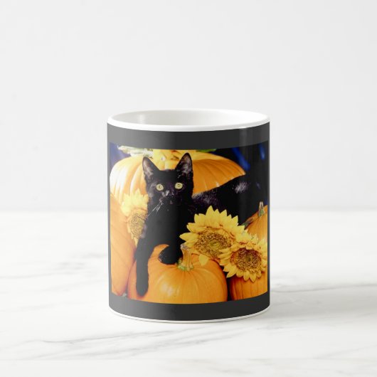 Mug Chat noir (Centre)