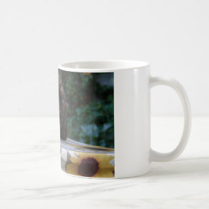 Mug Chat noir en colère