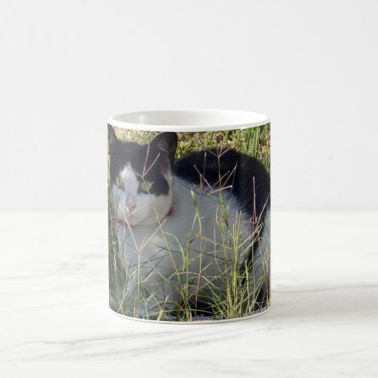 Mug Chat Noir Et Blanc Dans Le Jardin, (Centre)