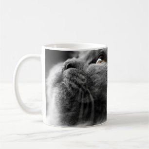 Mug Chat persan gris