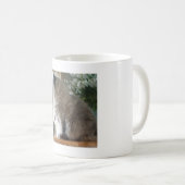 Mug Chat persan himalayen (Devant droit)