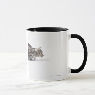 Mug Chat prêt à sauter