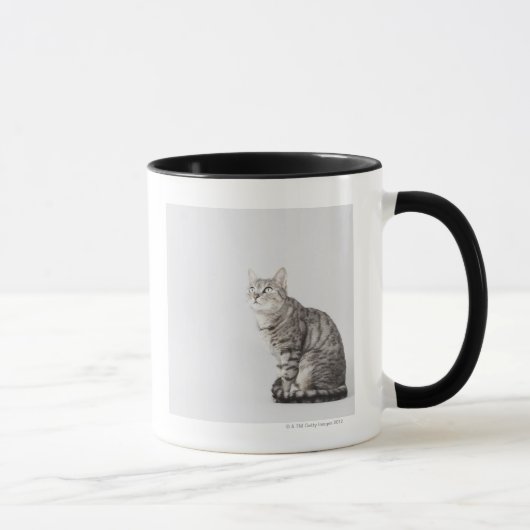 Mug Chat recherchant (Droite)
