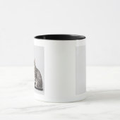 Mug Chat recherchant (Centre)