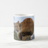 Mug Chat roux (Centre)