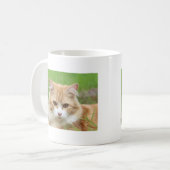 Mug Chat roux et blanc, si mignon ! (Devant gauche)
