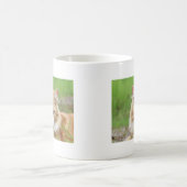 Mug Chat roux et blanc, si mignon ! (Centre)