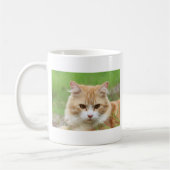 Mug Chat roux et blanc, si mignon ! (Gauche)