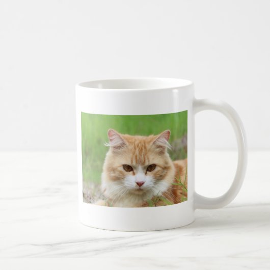 Mug Chat roux et blanc, si mignon ! (Droite)