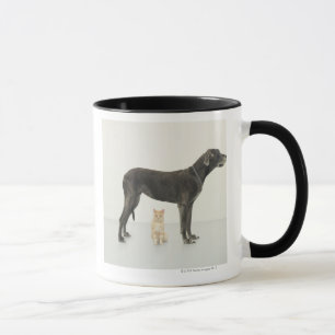 Mug Chat se reposant sous great dane
