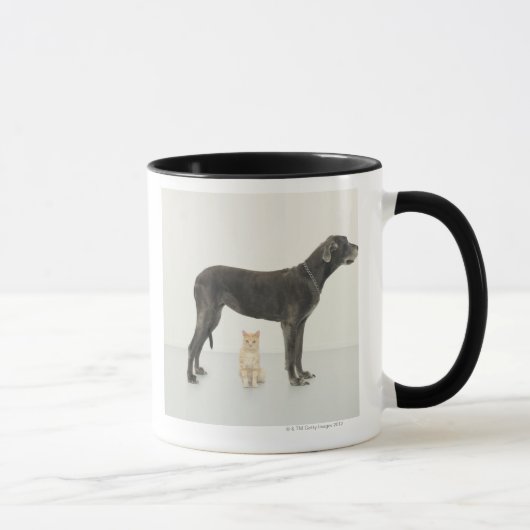 Mug Chat se reposant sous great dane (Droite)