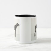 Mug Chat se reposant sous great dane (Centre)