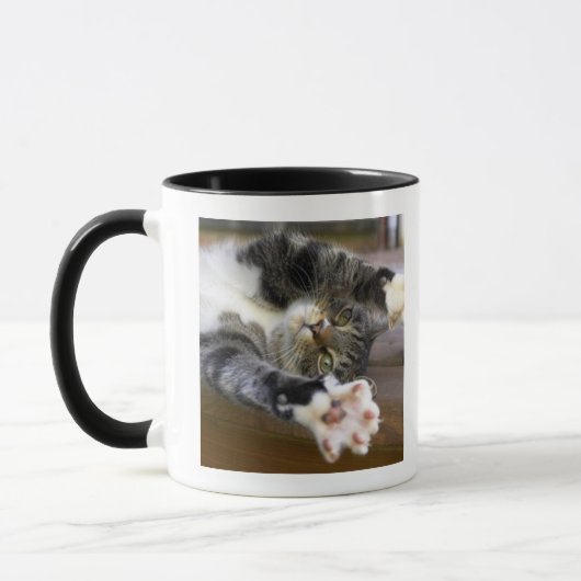 Mug Chat s'étirant, à l'intérieur (Gauche)