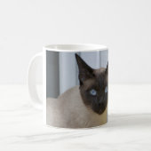 Mug Chat siamois de beau point de joint (Devant gauche)