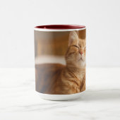 Mug Chat somnolent des images | de Getty (Centre)