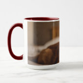 Mug Chat somnolent des images | de Getty (Gauche)
