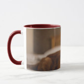 Mug Chat somnolent des images | de Getty (Gauche)