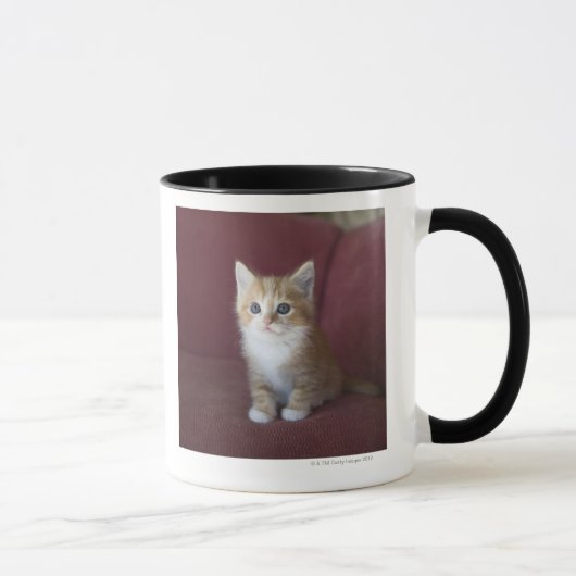 Mug Chat sur le sofa (Droite)