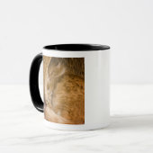 Mug Chat tigré orange dormant dans un panier (Devant gauche)