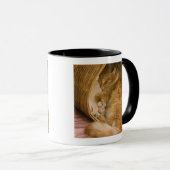 Mug Chat tigré orange dormant dans un panier (Devant droit)