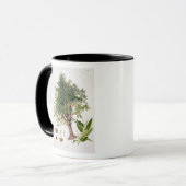 Mug Châtaigne douce, gravée par A. Haase (litho de (Devant gauche)