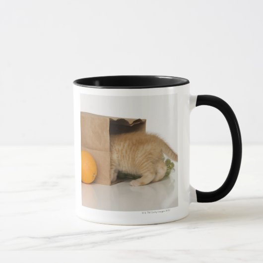 Mug Chaton à l'intérieur de sac d'épicerie (Droite)
