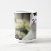Mug Chaton blanc turc (Centre)