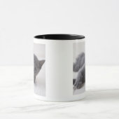 Mug Chaton bleu russe (Centre)
