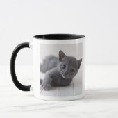 Mug Chaton bleu russe (Gauche)