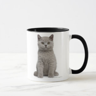 Mug Chaton britannique de Shorthair (10 semaines de) 2