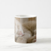 Mug Chaton de sommeil (Centre)