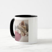 Mug Chaton dormant dans la cuvette (Devant gauche)