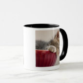 Mug Chaton dormant dans la cuvette (Devant droit)