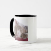 Mug Chaton dormant dans la cuvette 2 (Devant gauche)