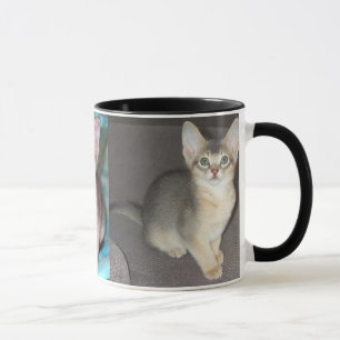 Mug Chaton mâle bleu abyssin