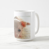 Mug Chaton nouveau-né de sphinx (Devant droit)