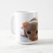 Mug Chaton nouveau-né de sphinx (Devant gauche)