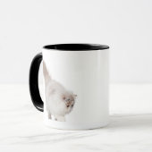 Mug Chaton persan (3 mois) (Devant gauche)