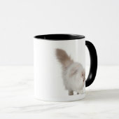 Mug Chaton persan (3 mois) (Devant droit)